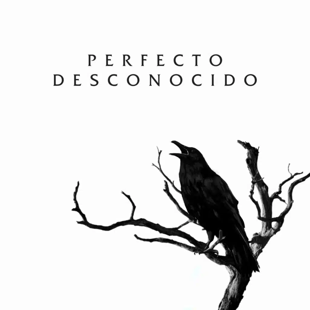 Perfecto Desconocido
