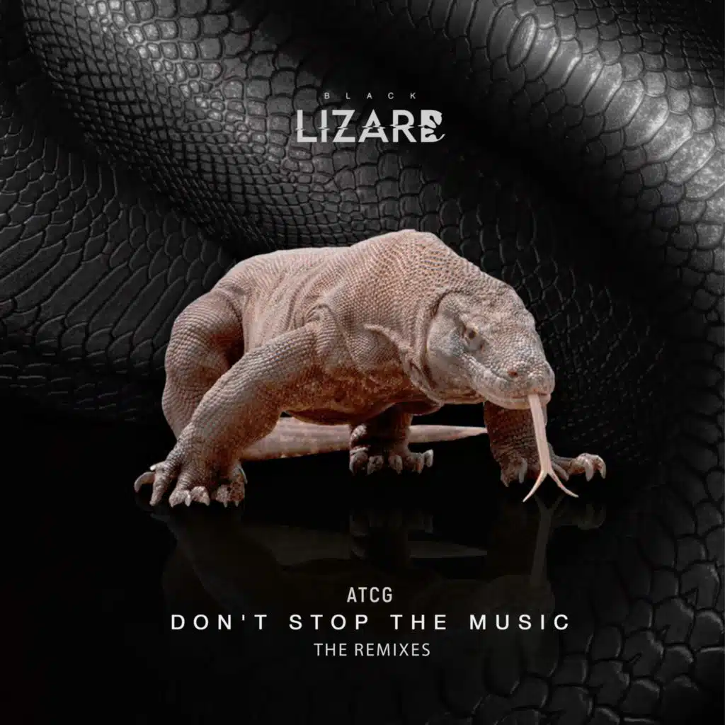 Dont Stop The Music (Leo Oliver Remix)