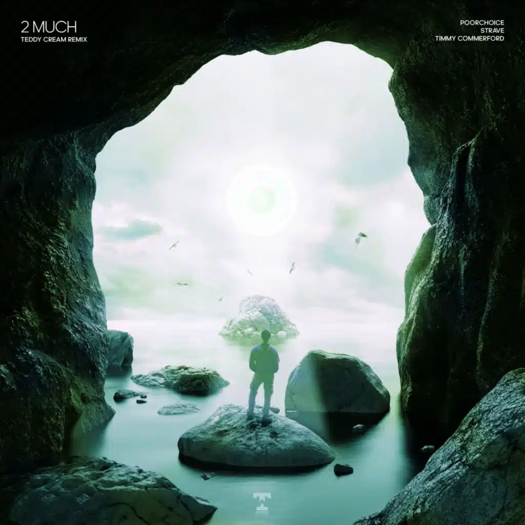 2 Much (Teddy Cream Remix) [feat. Timmy Commerford]