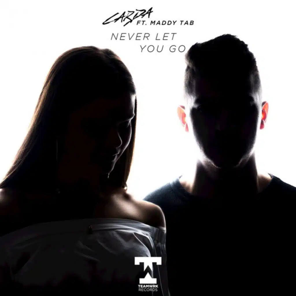 Never Let You Go (feat. Maddy Tab)