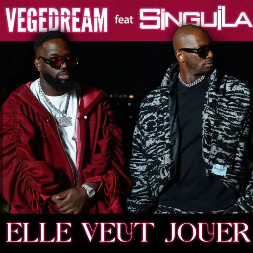 Vegedream & Singuila