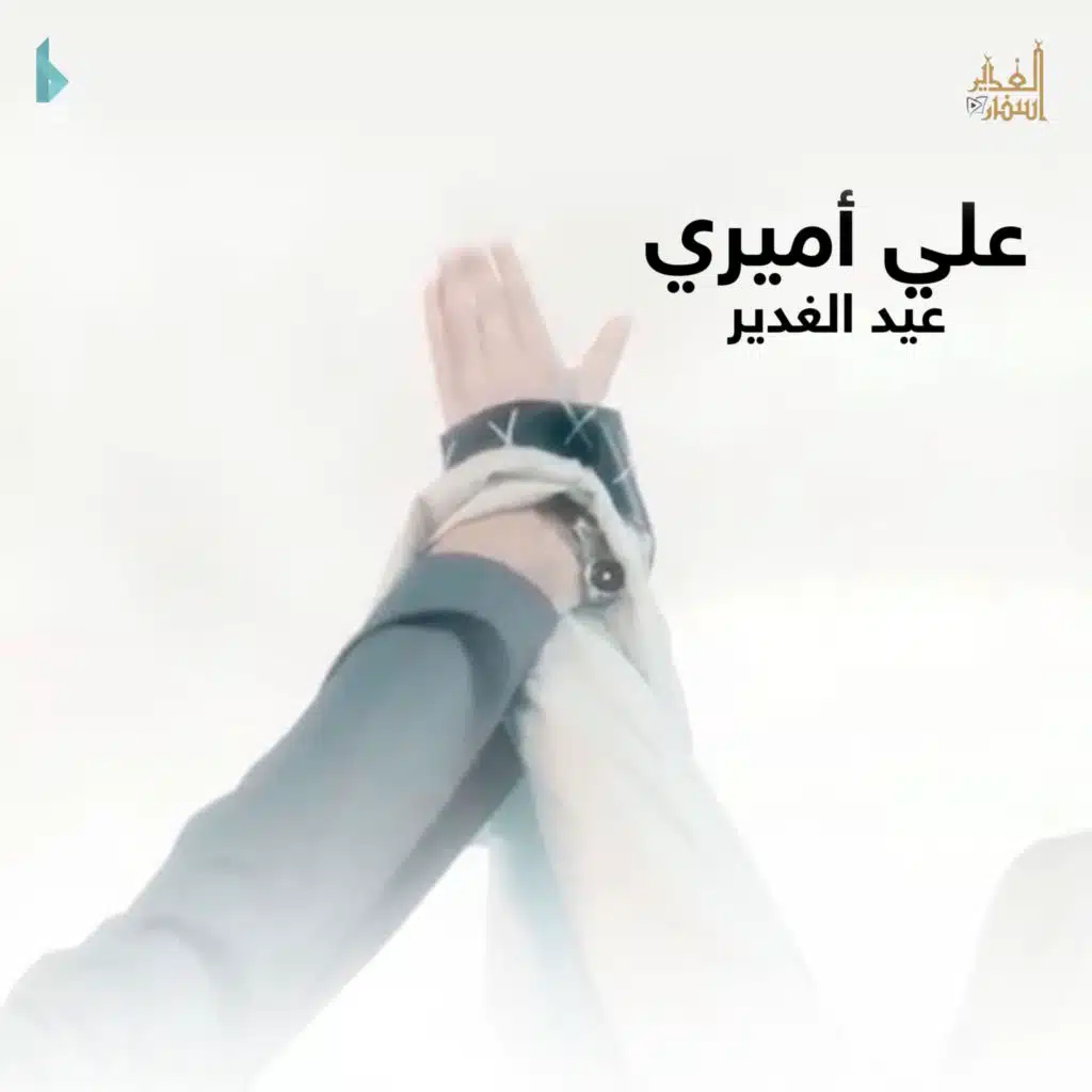 علي أميري