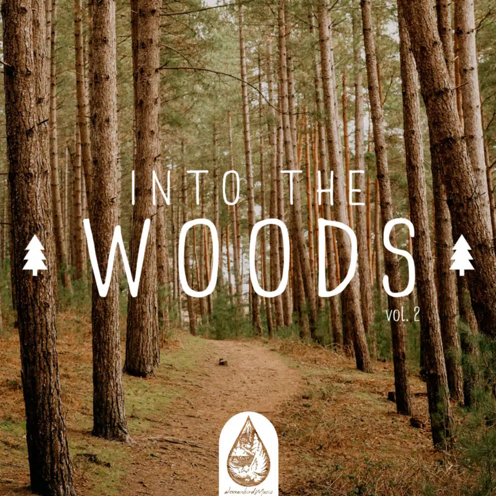 Into the Woods Vol. 2 (Alexrainbirdmusic)