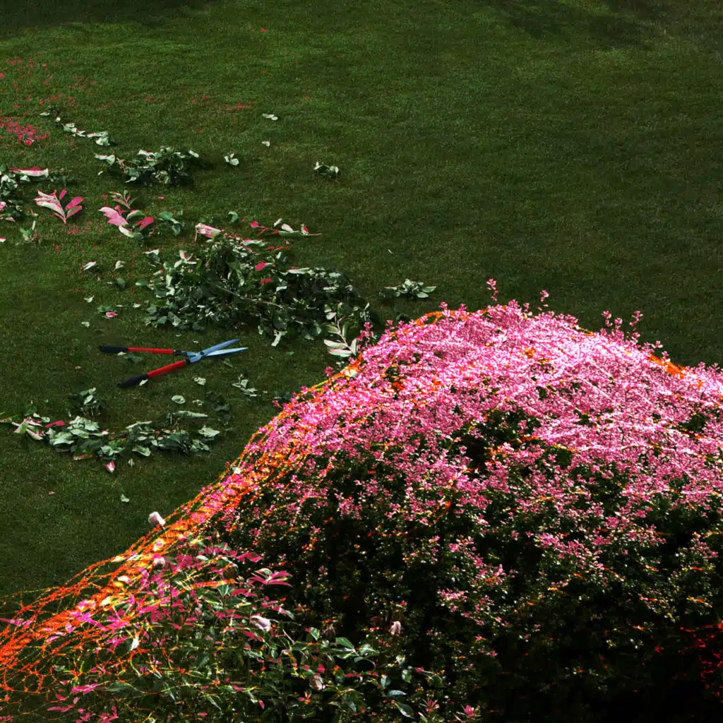 Golden Tooth / Don't Count On Me