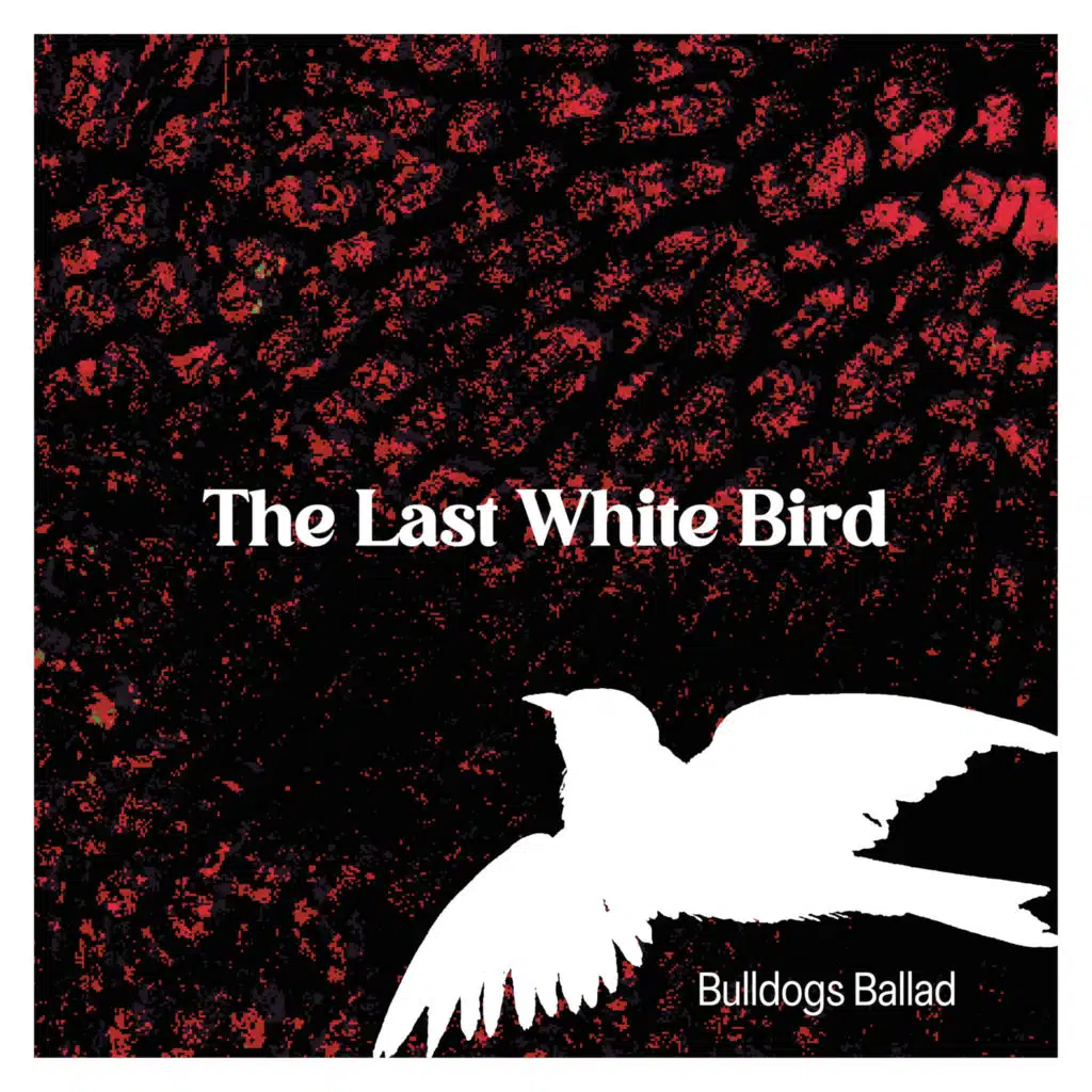 The Last White Bird