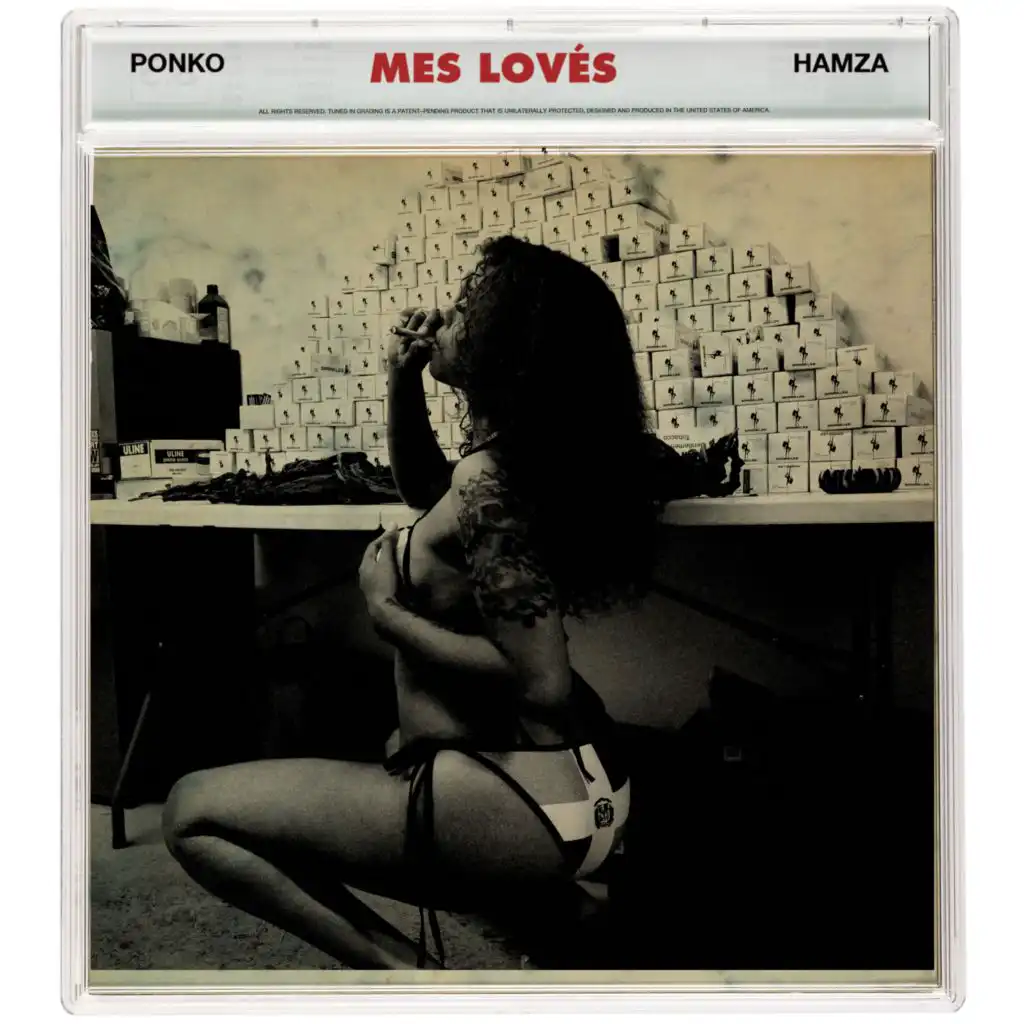 Mes Lovés (feat. Hamza)