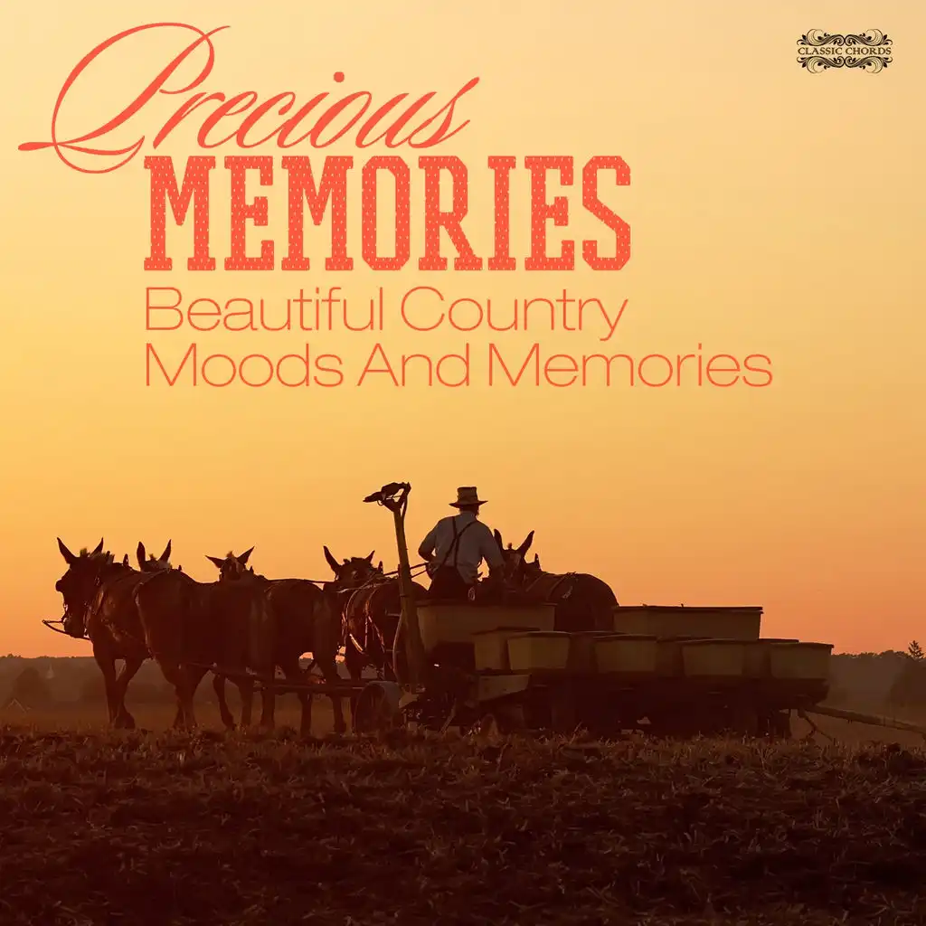 Precious Memories - Beautiful Country Moods And Memories