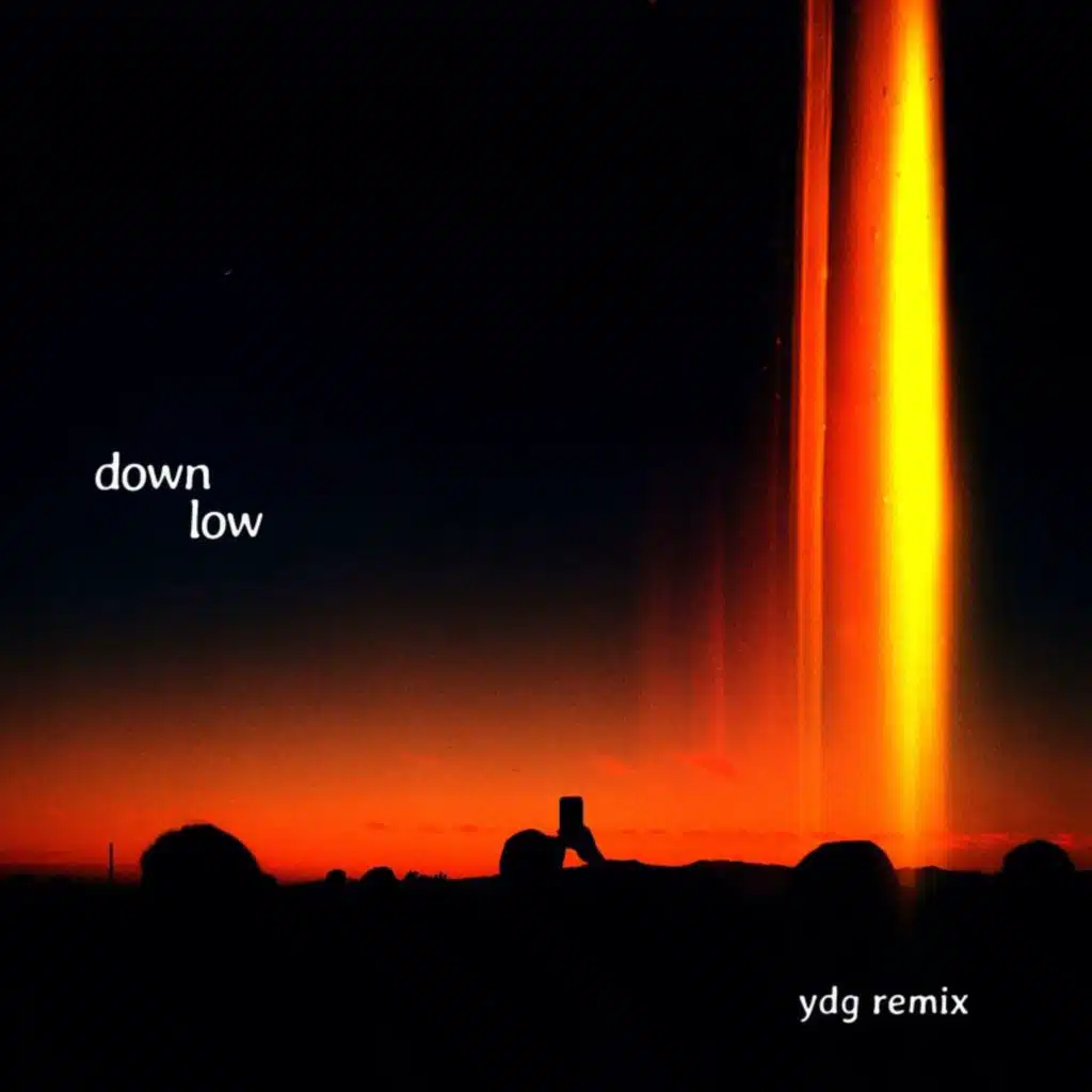 Down Low (YDG Remix) [feat. Sorana]