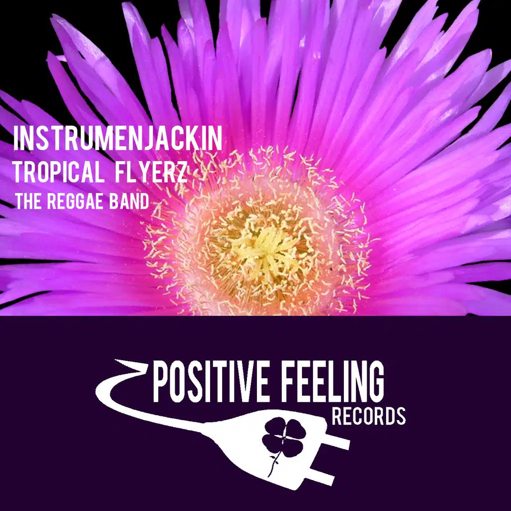 The Reggae Band (Radio Edit)