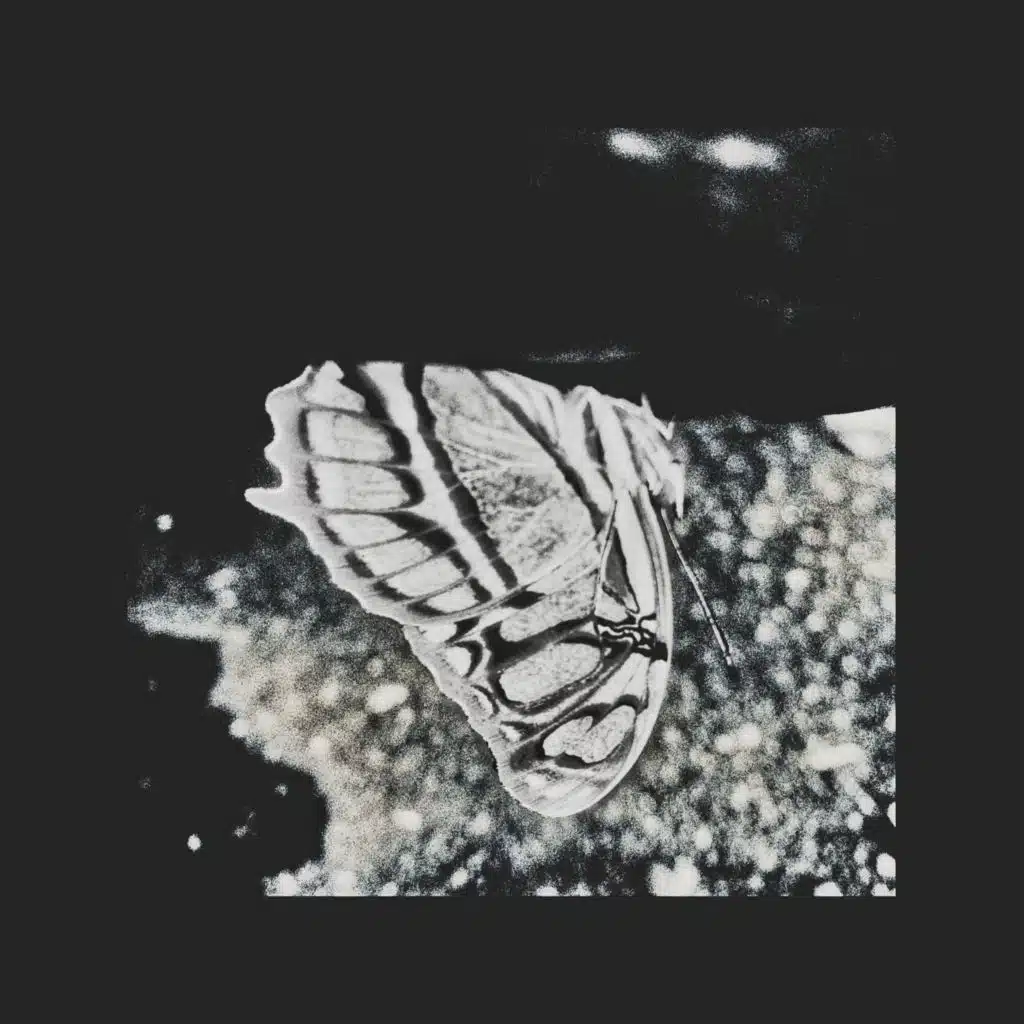 Me Quieren Ver Enamorado