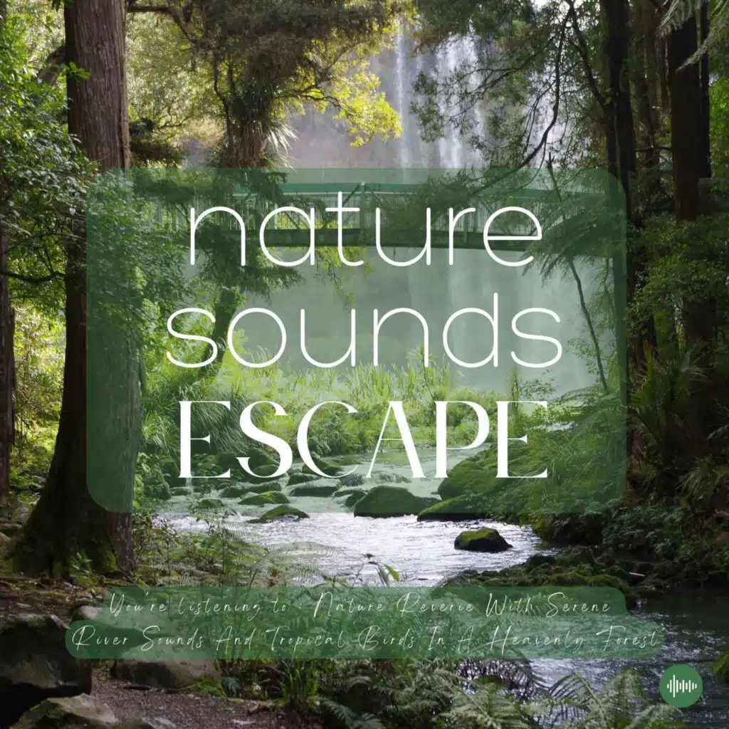 Nature Reverie With Serene River Sounds & Singing Birds In A Heavenly Forest | Relaxing Nature Sounds For Sleep, Meditation, Relaxation Or Focus | Sleep Sounds, Sleep Fast, Birdsong, Rain, Ocean Sounds, Sons Pour Dormir, Sons Nature, White Noise