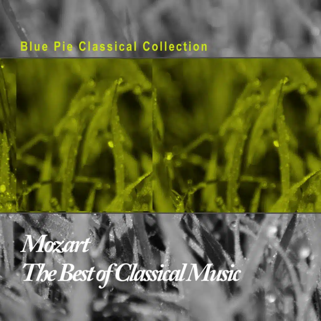 Armonie Symphonie Orchestra