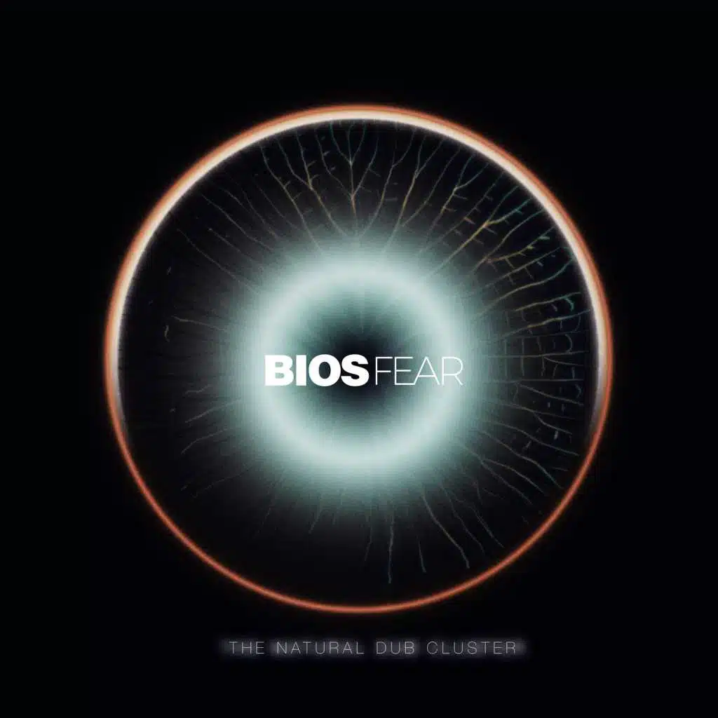 THE NATURAL DUB CLUSTER