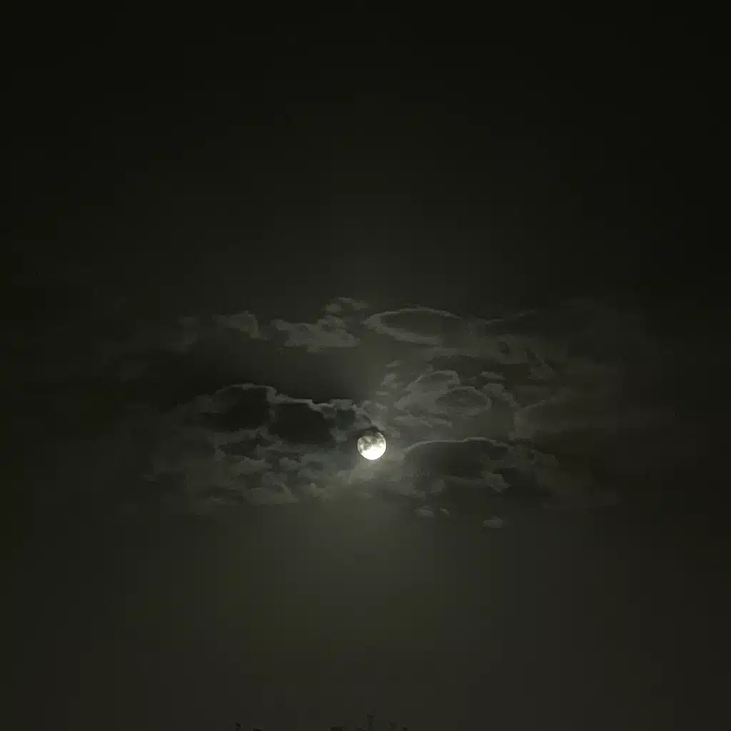 ✩★✩ feels like ⭐︎★⭐︎