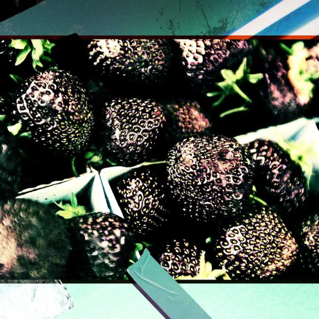 Lyssningstips: Sommarklassiker&nbsp;med sur eftersmak