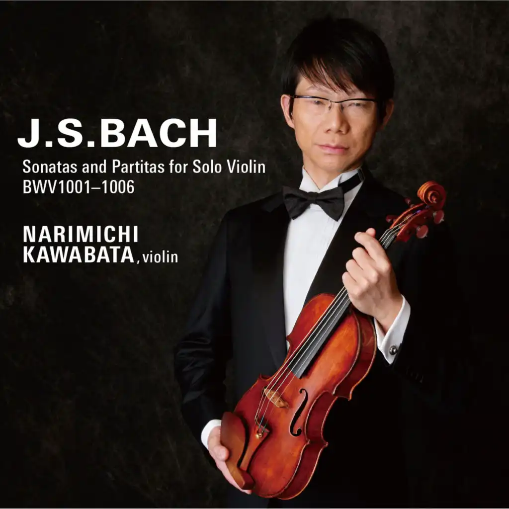 NARIMICHI KAWABATA & violin