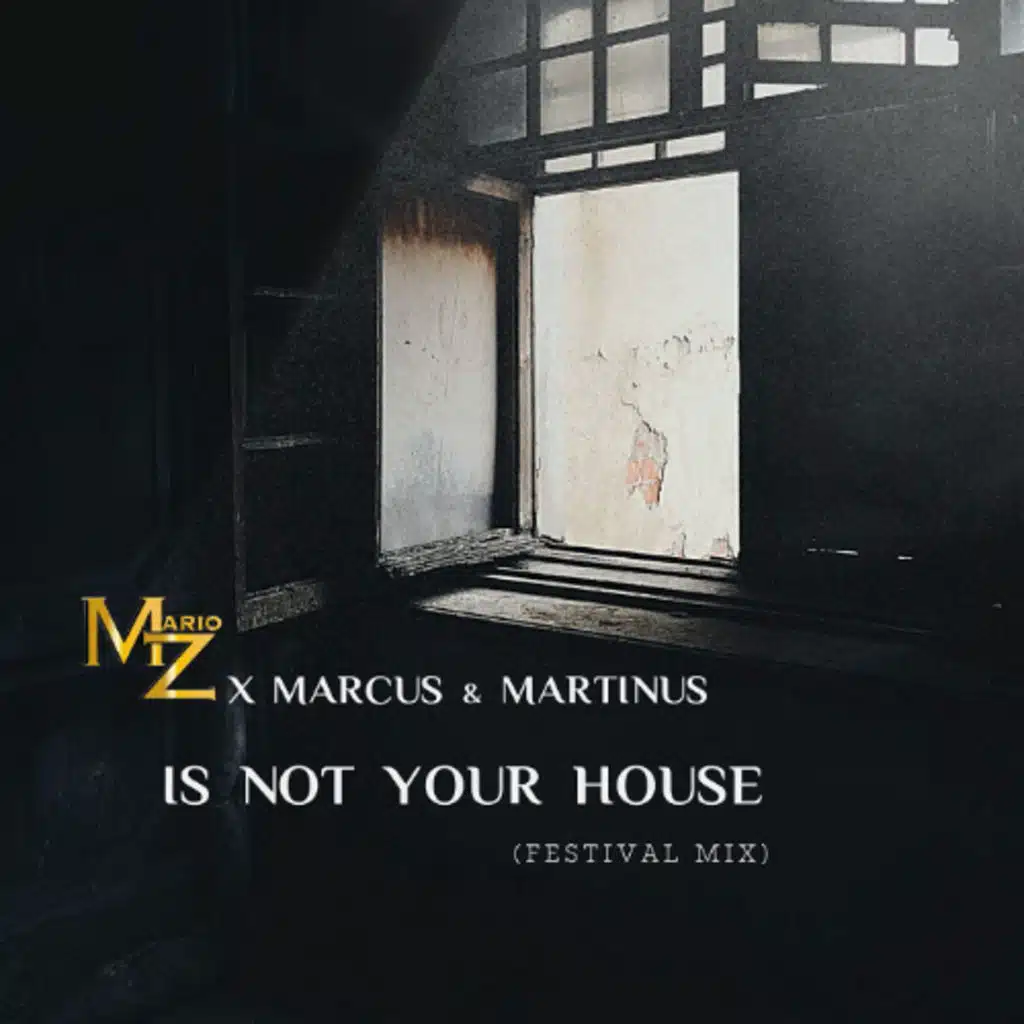 Marcus & Martinus x Mario Z-Is Not Your House (Festival Mix)
