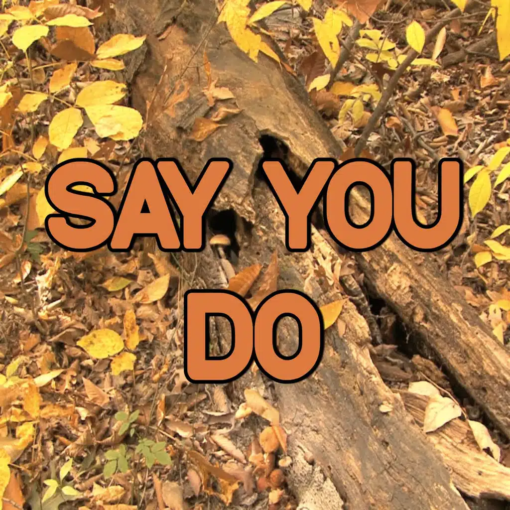 Say You Do - Tribute to Sigala and Imani, DJ Fresh