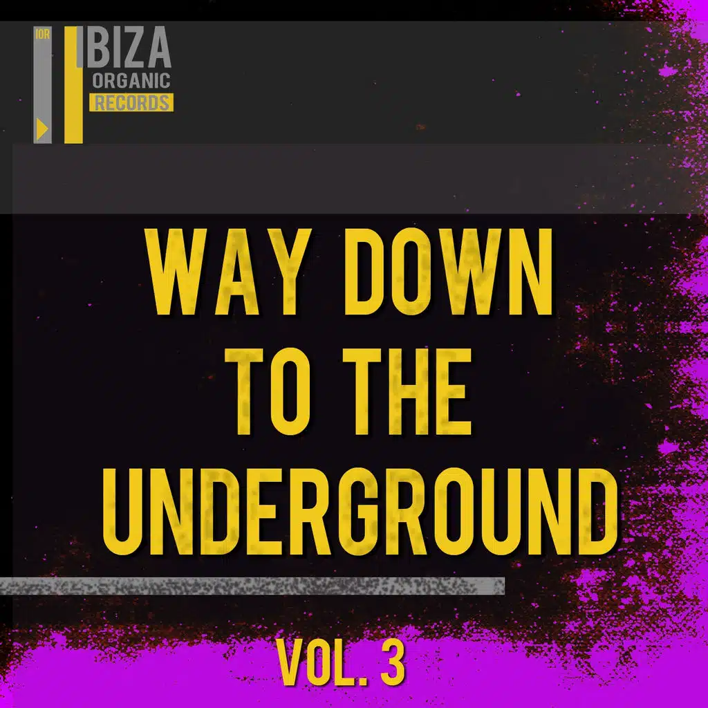 Blizzy Gem,  Organic Noise from Ibiza