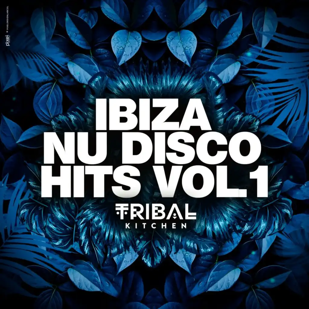 Ibiza Nu Disco Hits Vol. 1 (Tribal Kitchen)