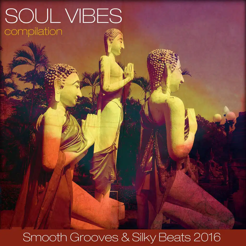 Soul Vibes Compilation 2016 (Smooth Grooves & Silky Beats)