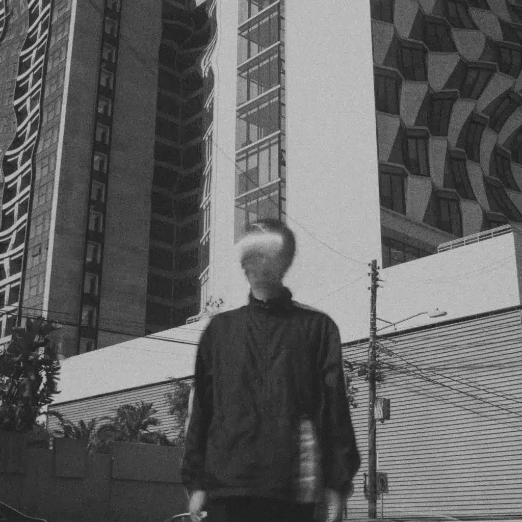 Rollo California & Azul de Viena