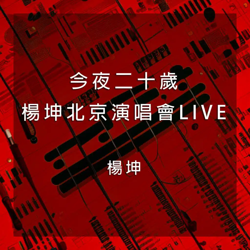 今夜二十歲楊坤北京演唱會LIVE