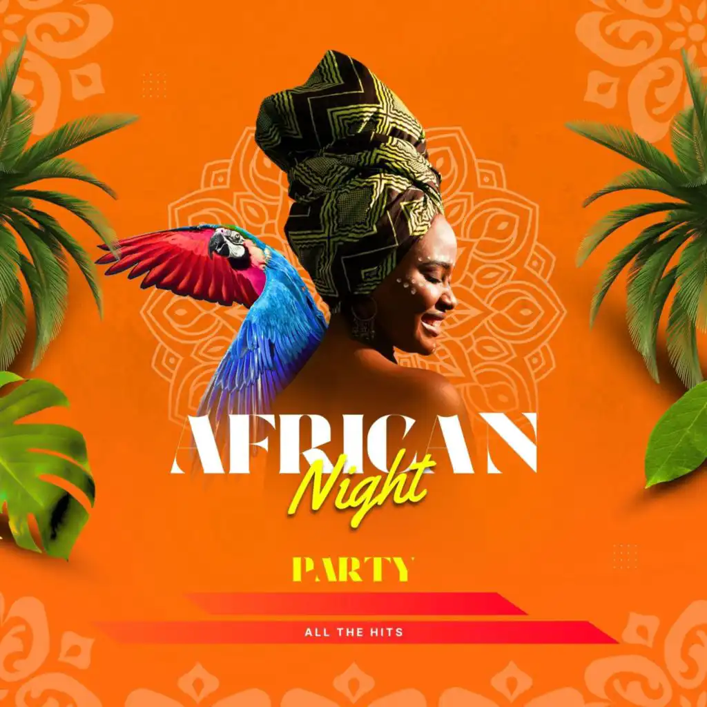 African Night - Party - All the Hits