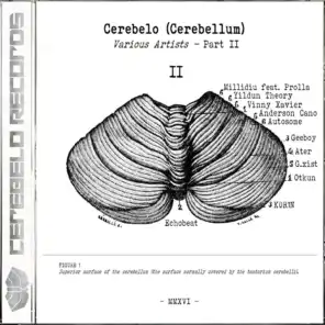 Cerebelo Records 2016, Vol. 2