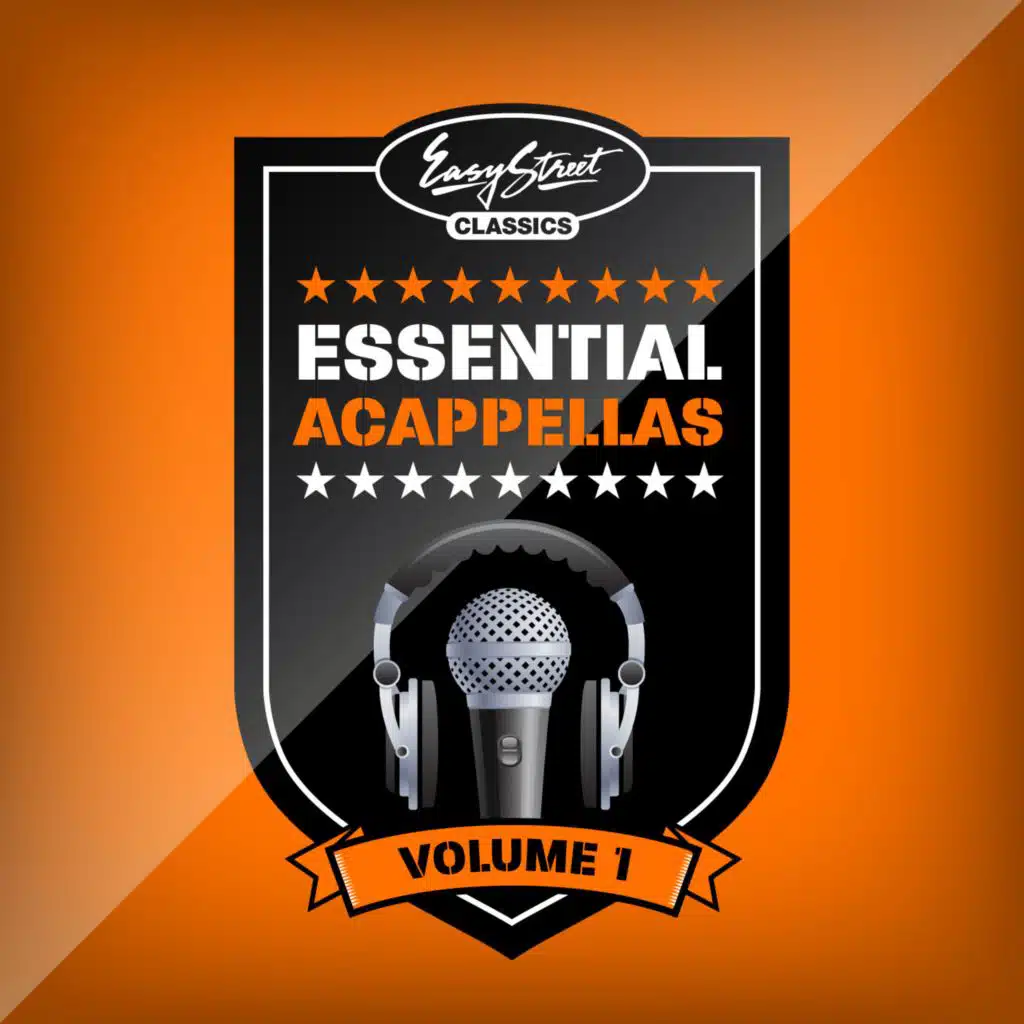 How Do You See Me Now (Acapella)