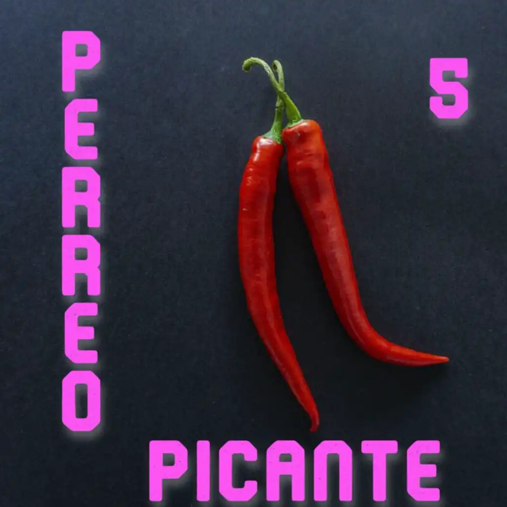 Perreo Picante Vol. 5