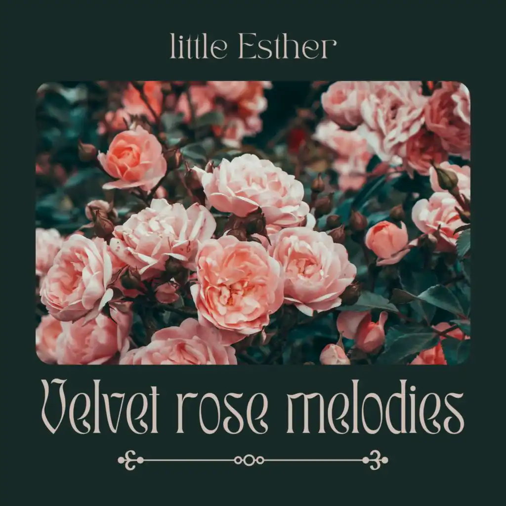 Velvet rose melodies