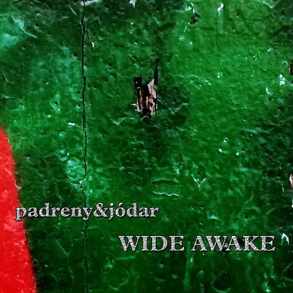 Wide Awake