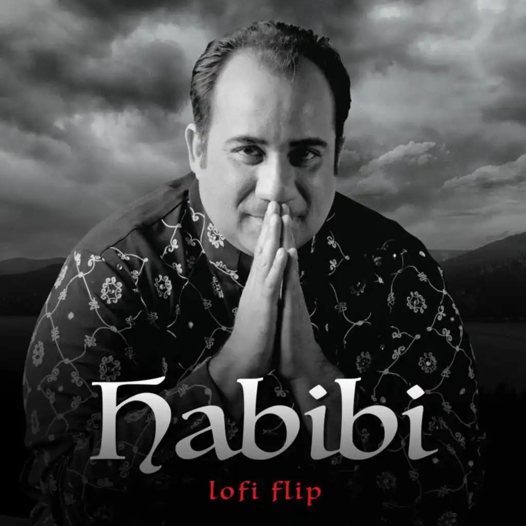 Habibi (Lofi Flip) [feat. Salim Sulaiman]