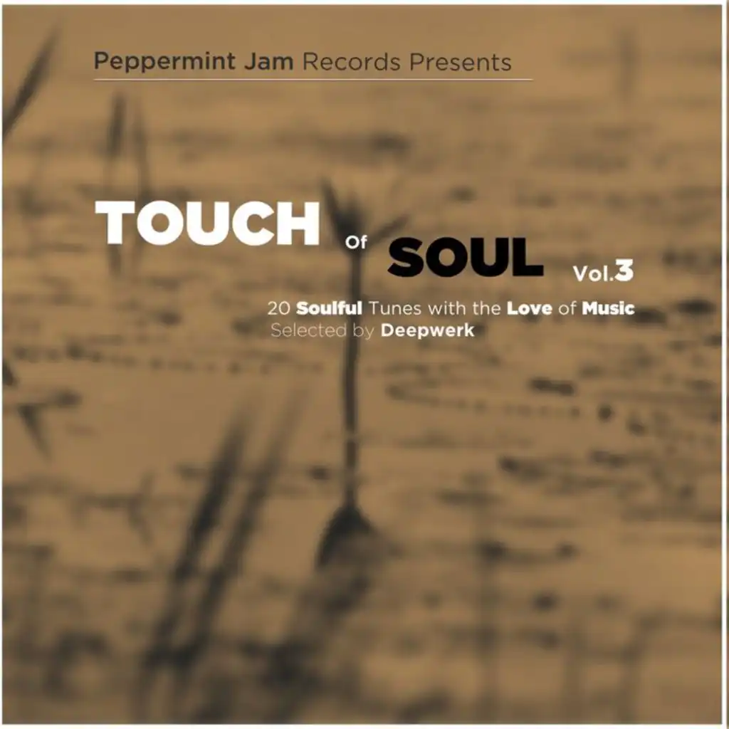 Peppermint Jam Pres. - Touch of Soul, Vol. 3 (20 Soulful Tunes With the Love of Music / Selected by Deepwerk)