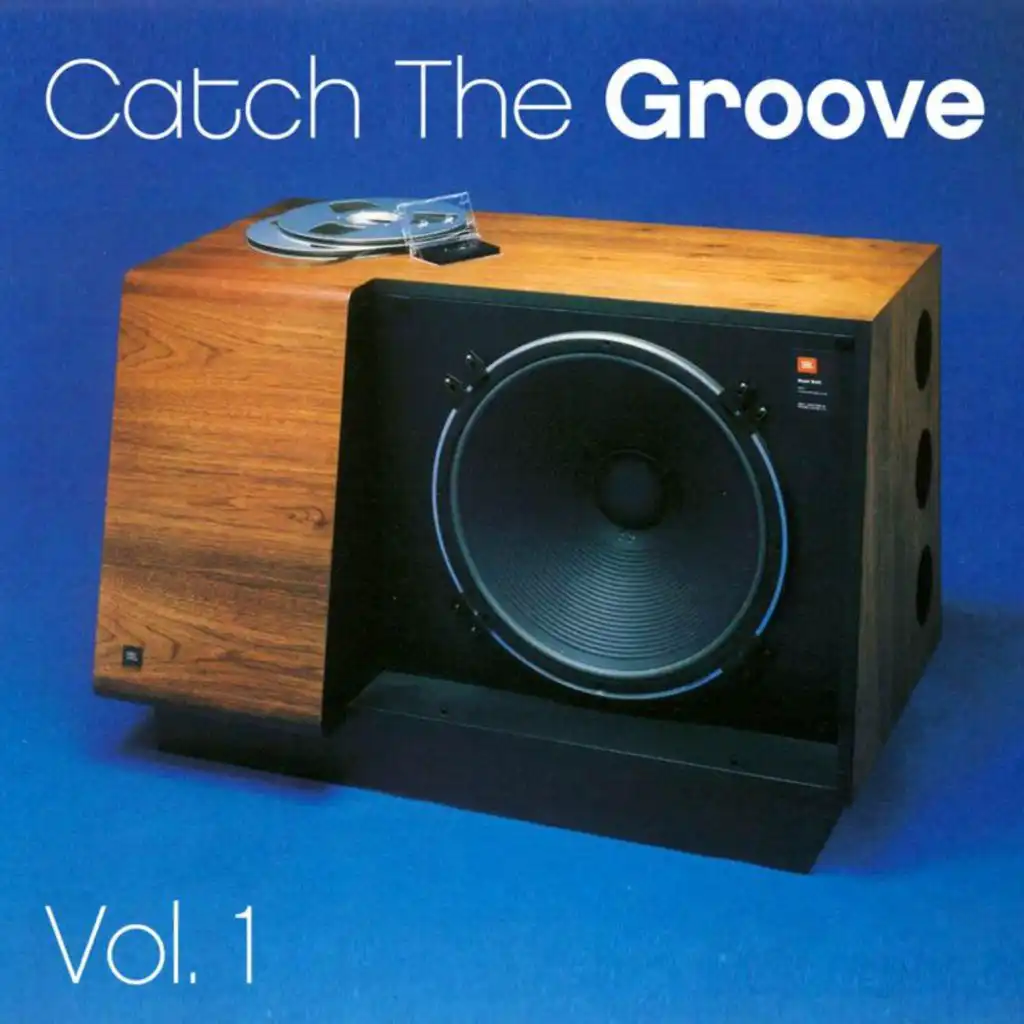 Catch The Groove, Vol. 1