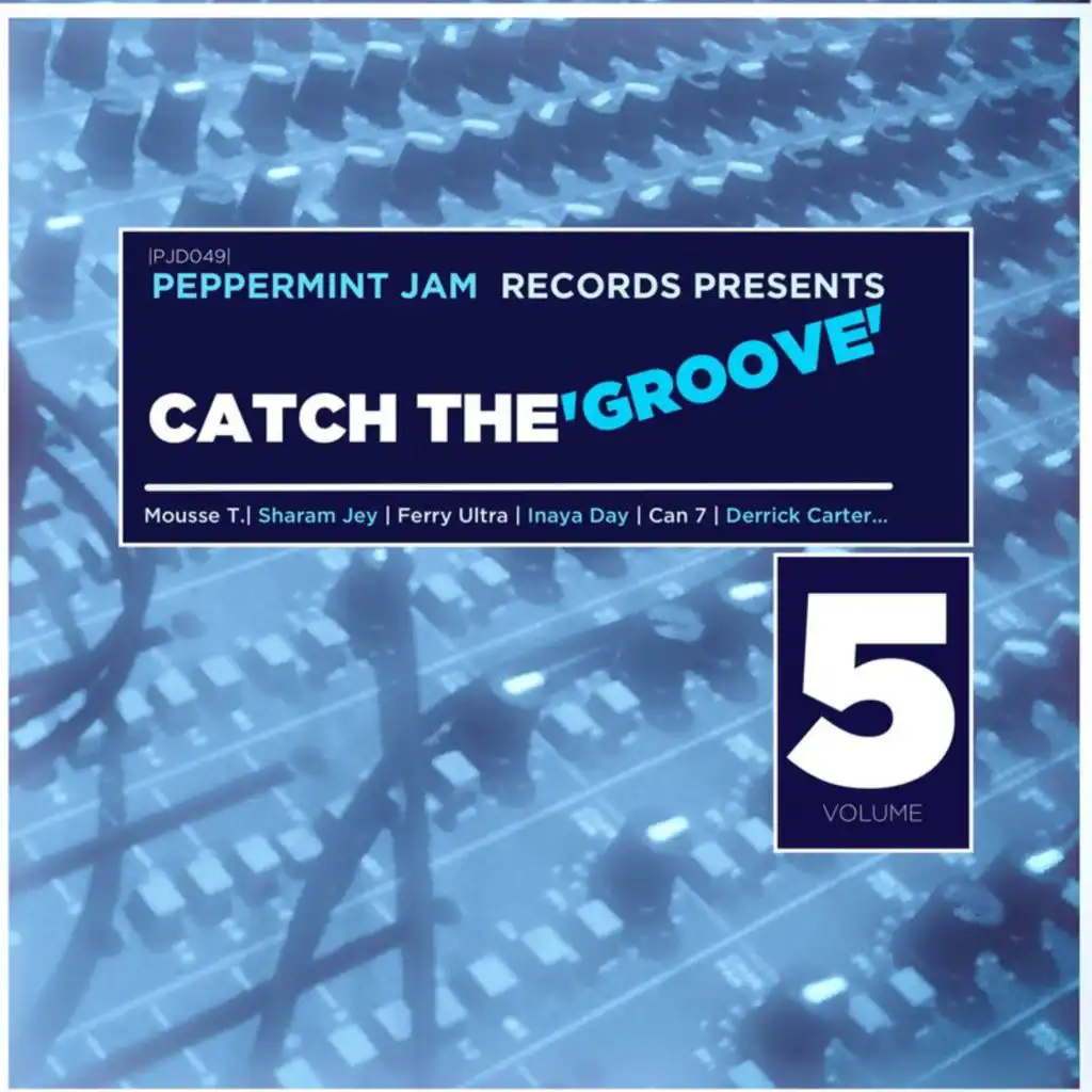 Peppermint Jam Records Pres. Catch the Groove, Vol. 5