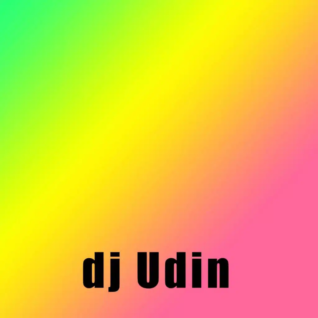 DJ UDIN