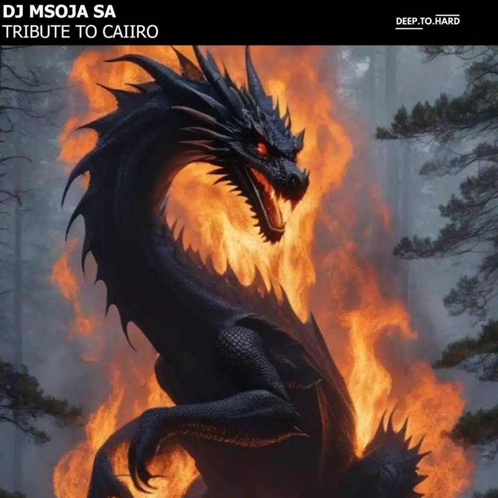 Dj Msoja SA & DeepToHard