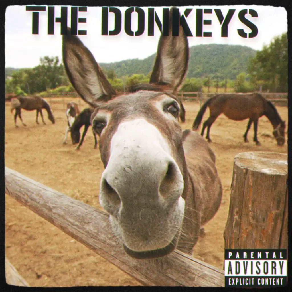 The Donkeys