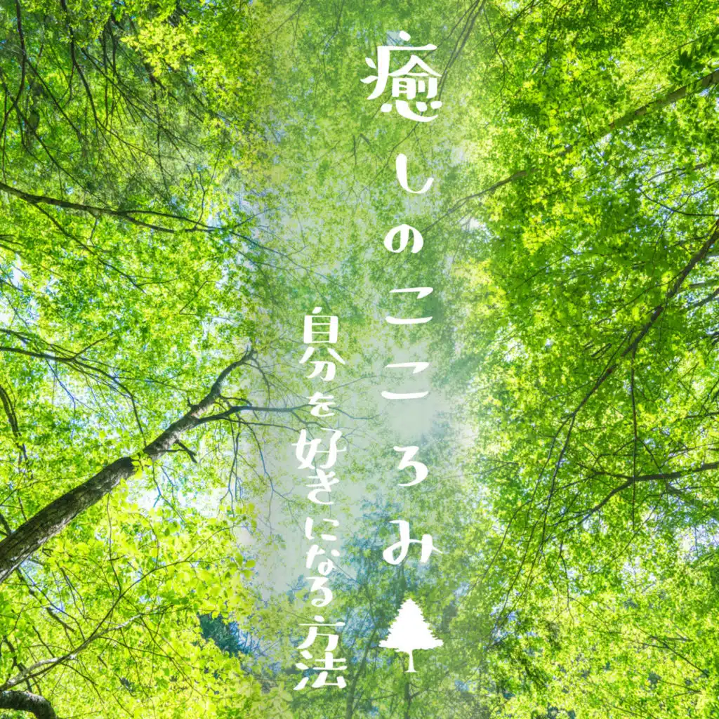 Walking On The Forest Road