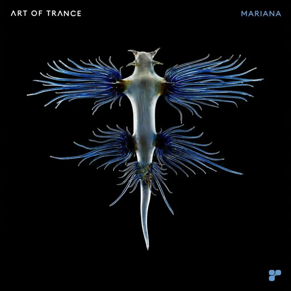 Art Of Trance