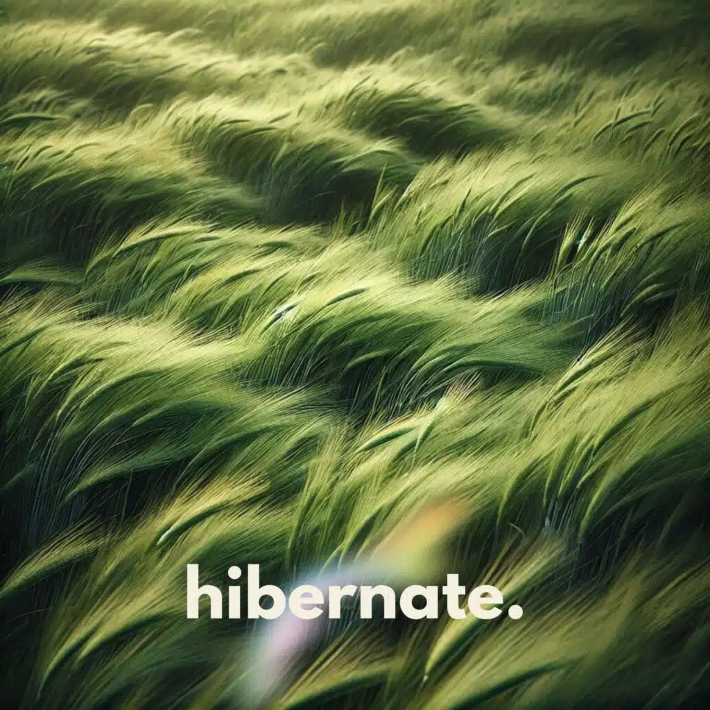 Hibernate