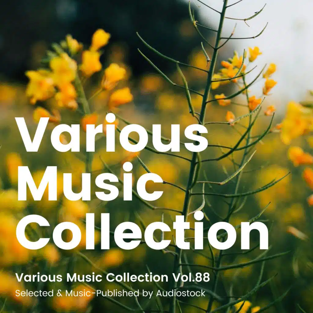 名探偵の青山さん