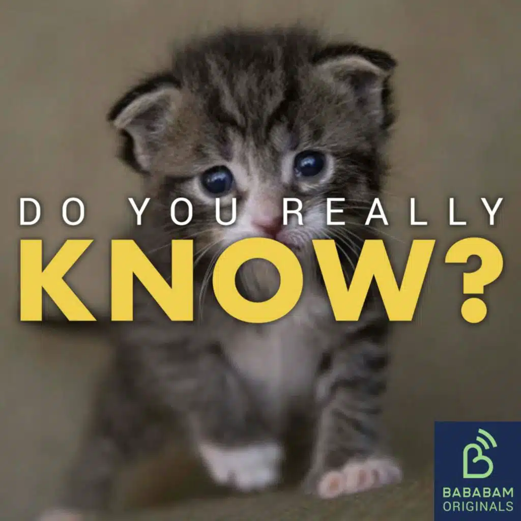 Why are mini animals so popular?