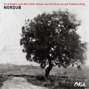Nordub (feat. Eivind Aarset & Vladislav Delay)