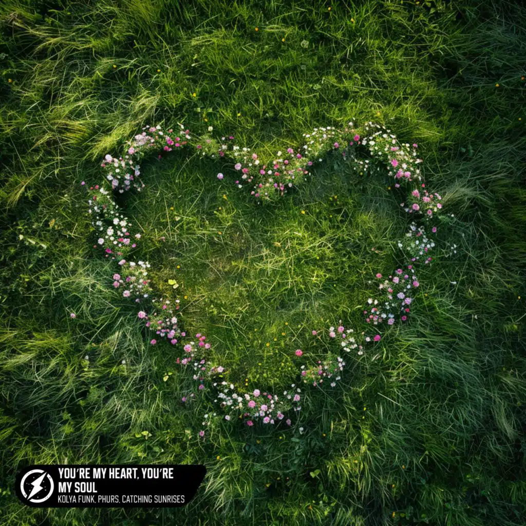 You’re My Heart, You’re My Soul