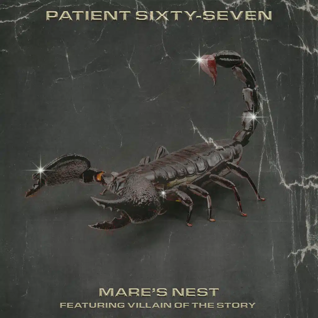 Mare's Nest