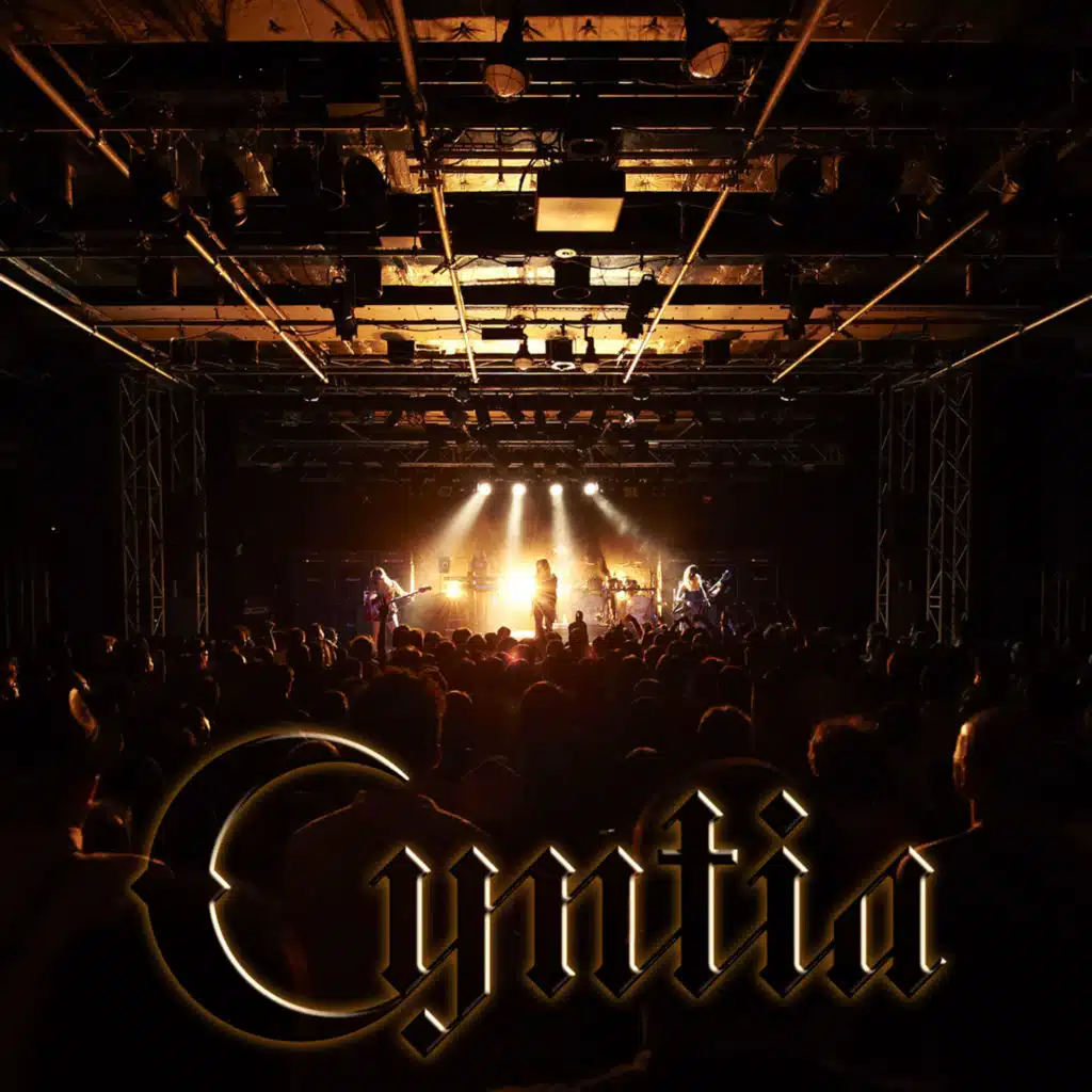 Live 2013 "Ready GO!Ready GO!Ready GO!"