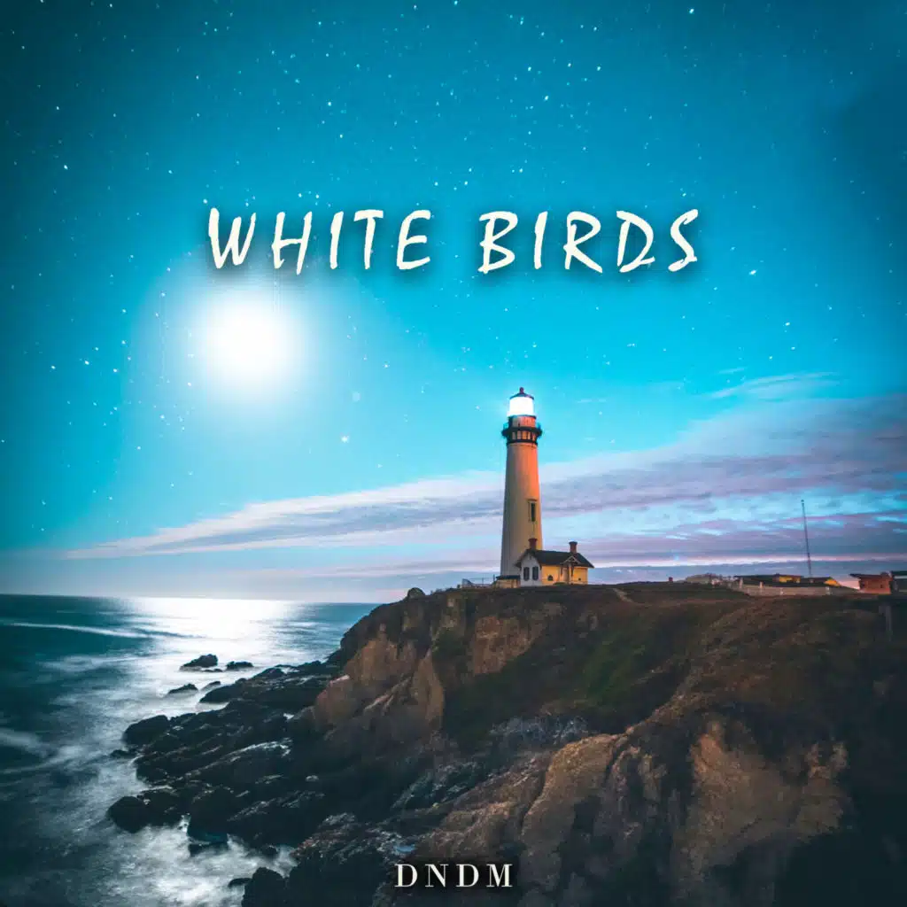White Birds